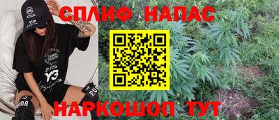 PSILOCYBIN Малоярославец