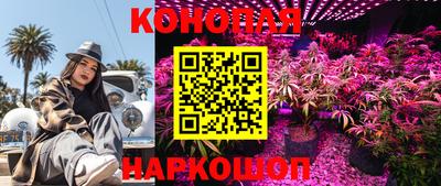 PSILOCYBIN Малоярославец